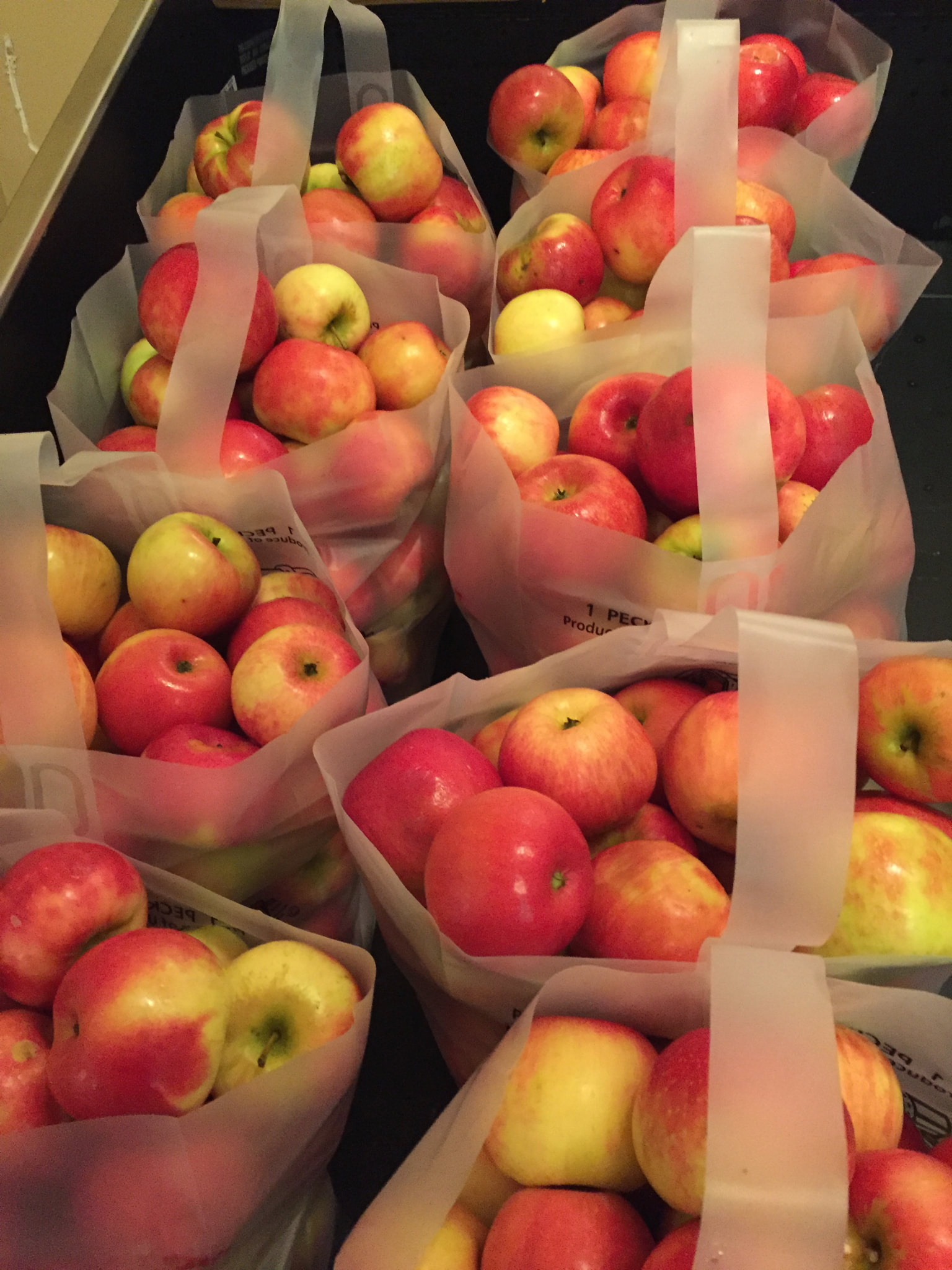 Apple Bags for Picking Apples / Pears (prepay for U-Pick)